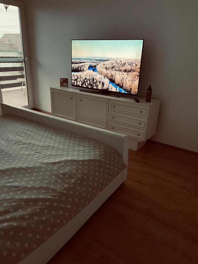 Casa Verde Foeni Экстерьер фото